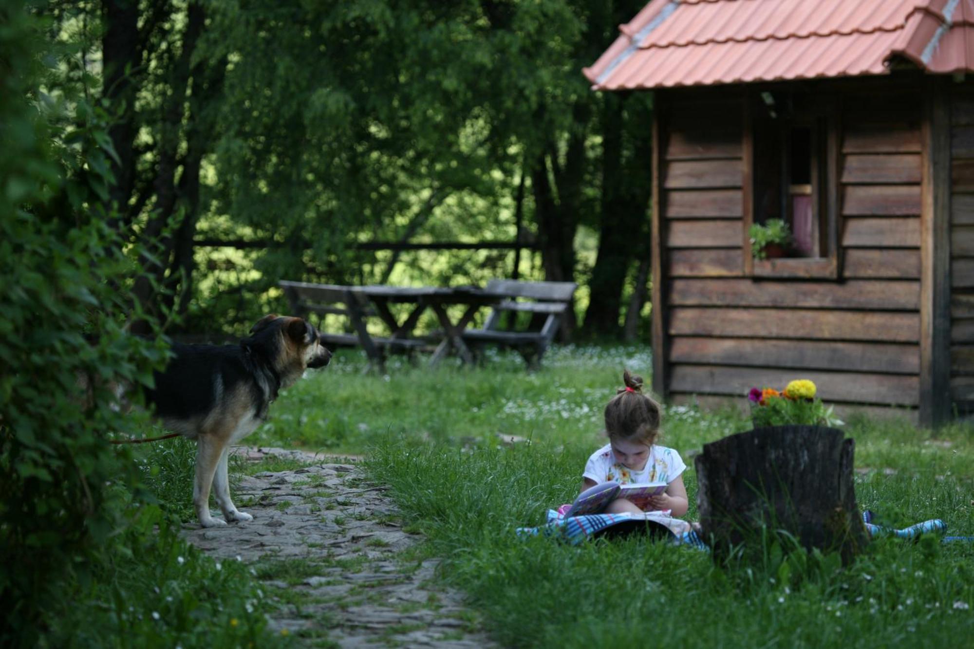 Grab Ethno Village And Camp Šćepan-Polje Szoba fotó