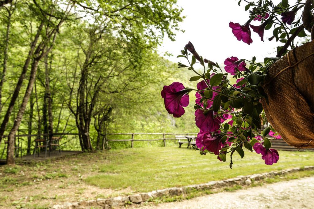 Grab Ethno Village And Camp Šćepan-Polje Kültér fotó